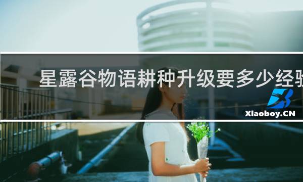 星露谷物语耕种升级要多少经验