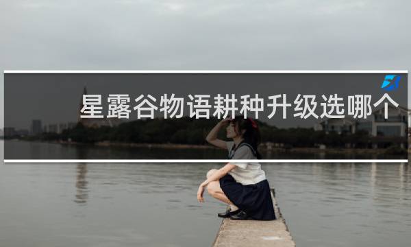 星露谷物语耕种升级选哪个