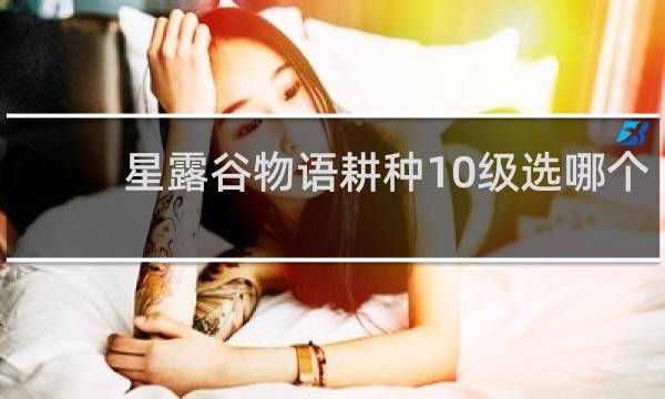 星露谷物语耕种10级选哪个