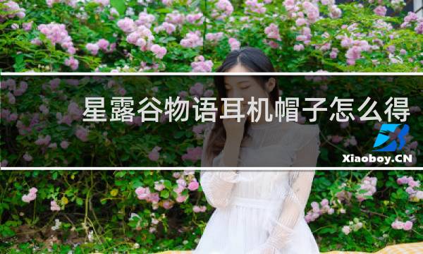 星露谷物语耳机帽子怎么得