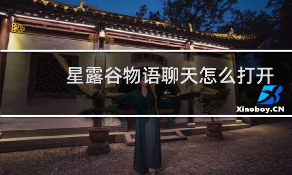 星露谷物语聊天怎么打开