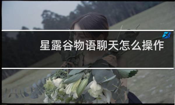 星露谷物语聊天怎么操作