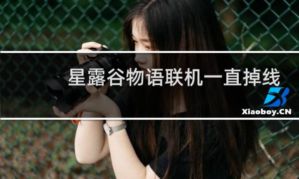 星露谷物语联机一直掉线