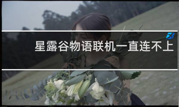 星露谷物语联机一直连不上