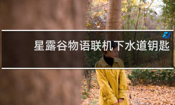 星露谷物语联机下水道钥匙