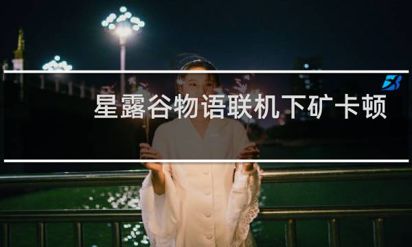星露谷物语联机下矿卡顿