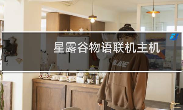 星露谷物语联机主机