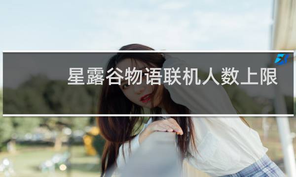 星露谷物语联机人数上限