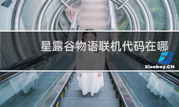 星露谷物语联机代码在哪