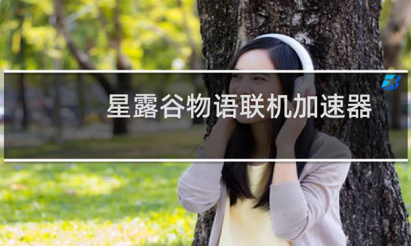 星露谷物语联机加速器
