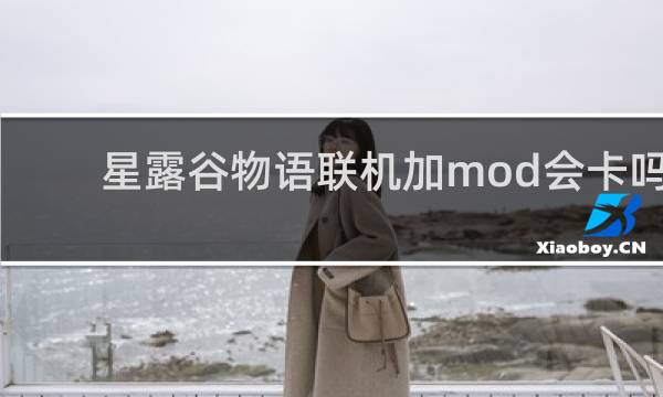 星露谷物语联机加mod会卡吗