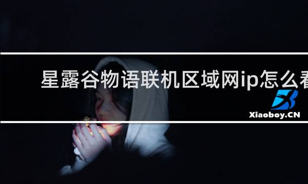 星露谷物语联机区域网ip怎么看