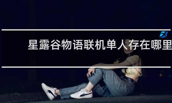 星露谷物语联机单人存在哪里