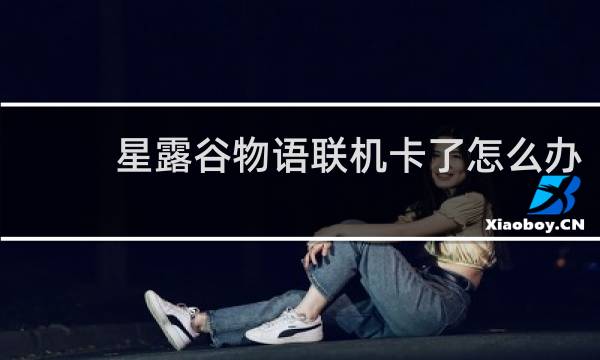 星露谷物语联机卡了怎么办