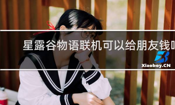 星露谷物语联机可以给朋友钱吗