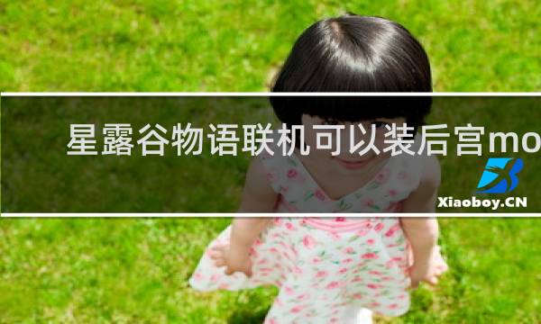 星露谷物语联机可以装后宫mod