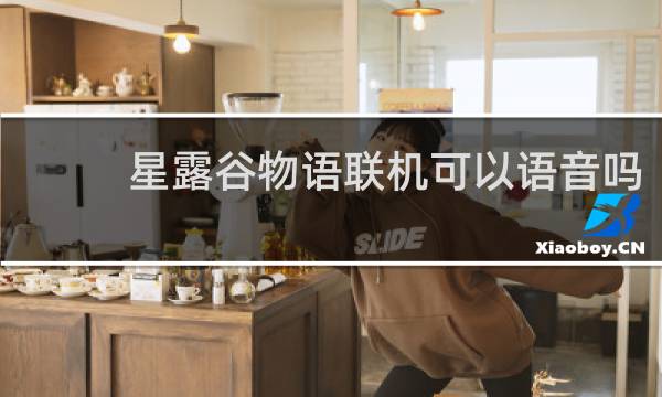 星露谷物语联机可以语音吗