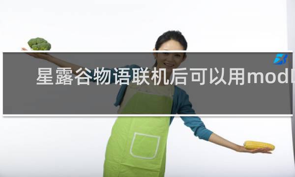 星露谷物语联机后可以用mod吗