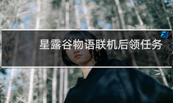 星露谷物语联机后领任务