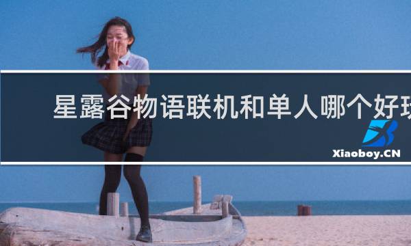 星露谷物语联机和单人哪个好玩