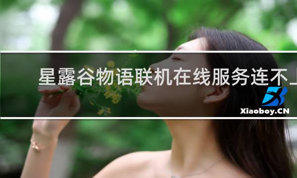 星露谷物语联机在线服务连不上