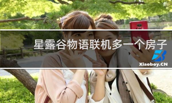 星露谷物语联机多一个房子