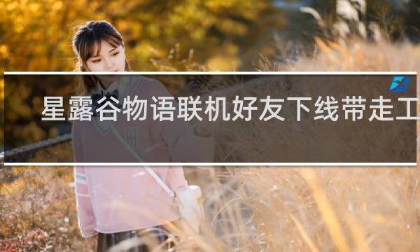星露谷物语联机好友下线带走工具