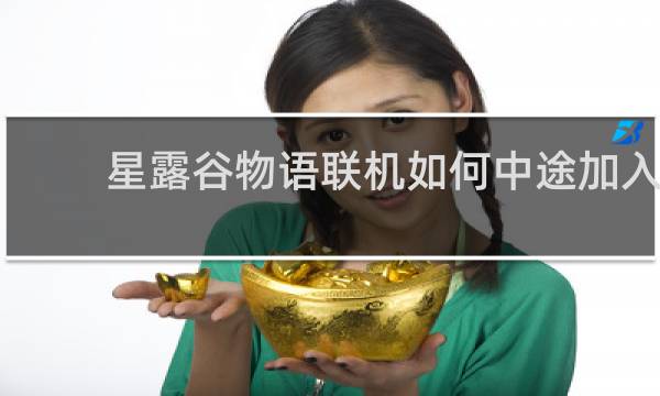 星露谷物语联机如何中途加入