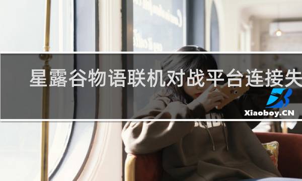 星露谷物语联机对战平台连接失败