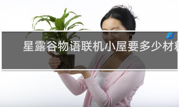 星露谷物语联机小屋要多少材料