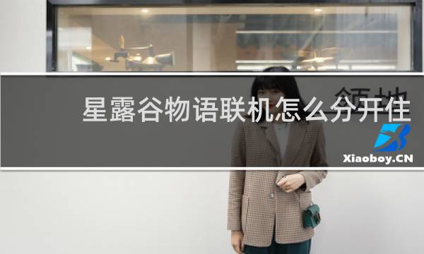 星露谷物语联机怎么分开住