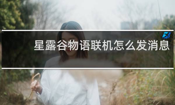 星露谷物语联机怎么发消息