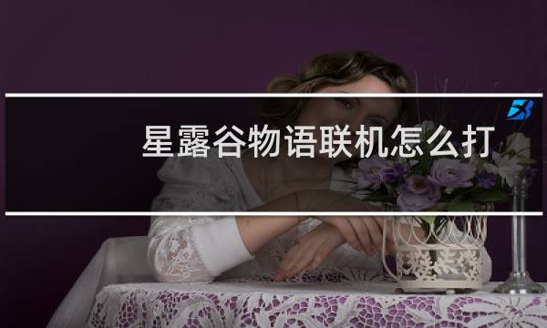 星露谷物语联机怎么打