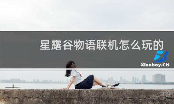 星露谷物语联机怎么玩的