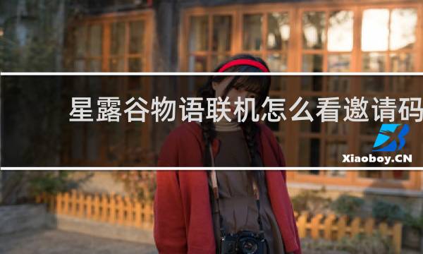 星露谷物语联机怎么看邀请码