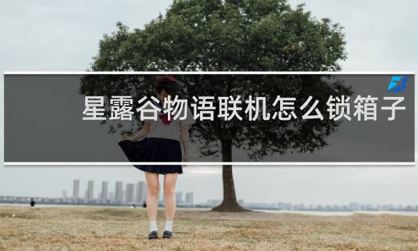 星露谷物语联机怎么锁箱子