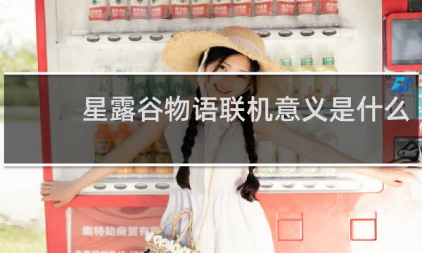 星露谷物语联机意义是什么