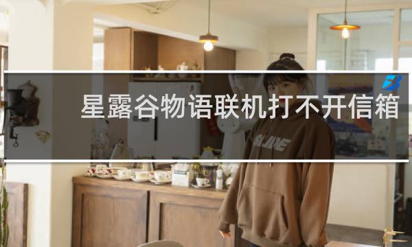 星露谷物语联机打不开信箱