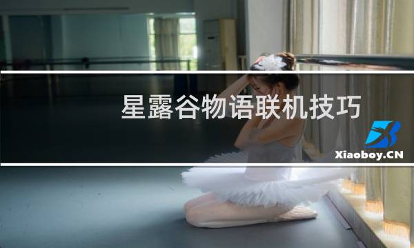 星露谷物语联机技巧