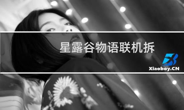 星露谷物语联机拆