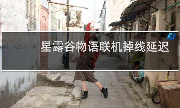 星露谷物语联机掉线延迟