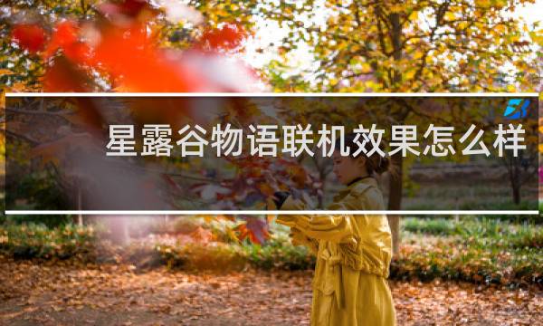 星露谷物语联机效果怎么样