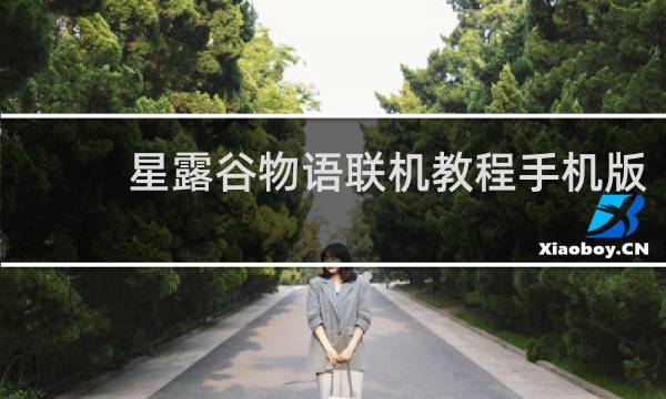 星露谷物语联机教程手机版