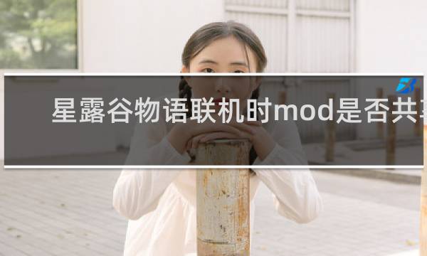 星露谷物语联机时mod是否共享