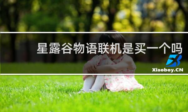 星露谷物语联机是买一个吗