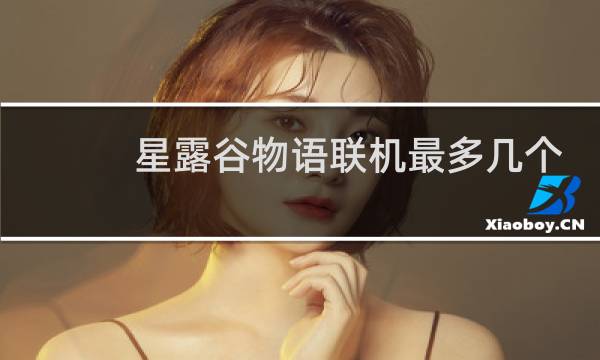 星露谷物语联机最多几个