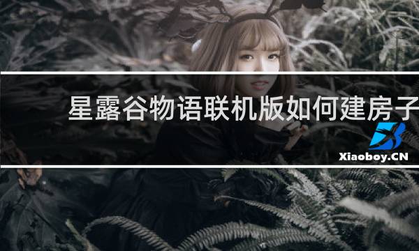 星露谷物语联机版如何建房子