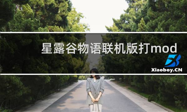 星露谷物语联机版打mod