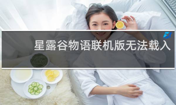 星露谷物语联机版无法载入