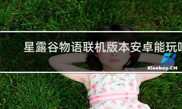 星露谷物语联机版本安卓能玩吗